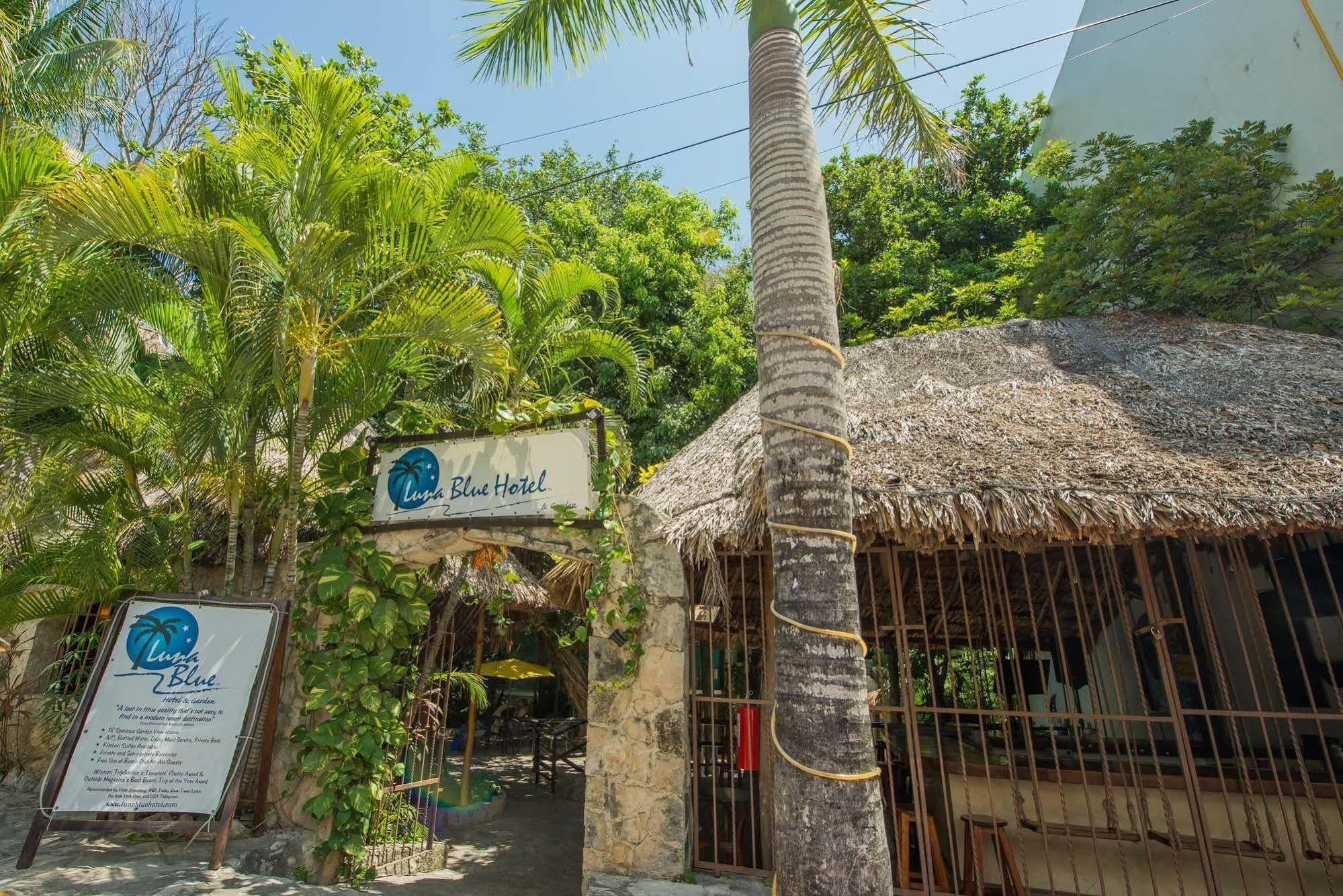 Luna Blue Hotel Playa Del Carmen Exterior photo
